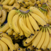 fresh banana
